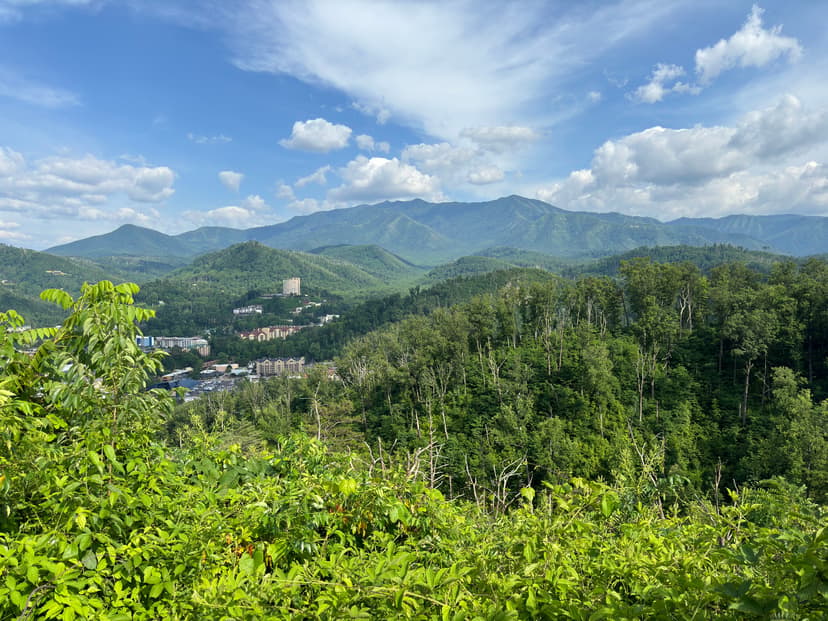 Small Mountains of Tennessee