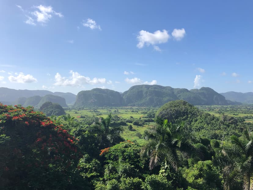 Beautiful Landscape