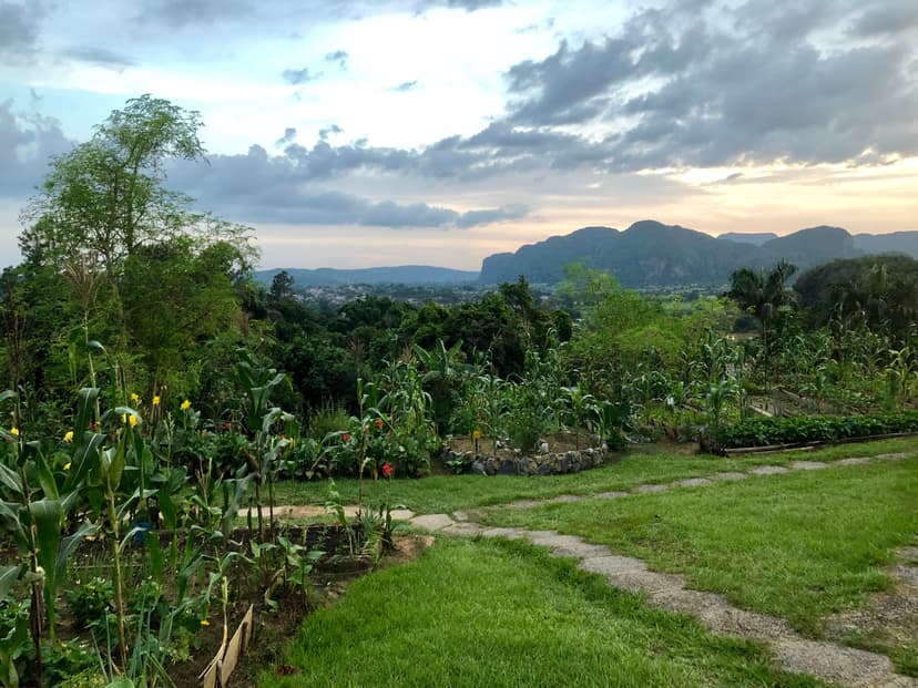 Cuba Landscape